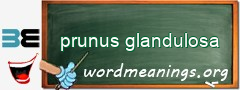 WordMeaning blackboard for prunus glandulosa